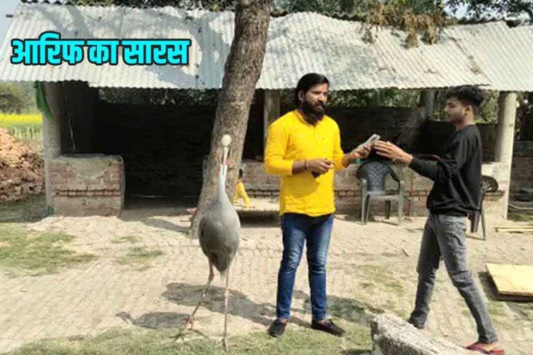 सारस और मोहम्मद आरिफ की अद्भुत दोस्ती की कहानी