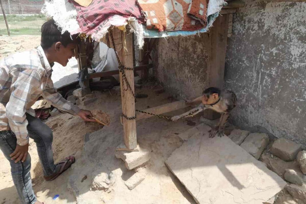 कलंदर समुदाय: कूड़ा कबाड़ बीनने से परेशान