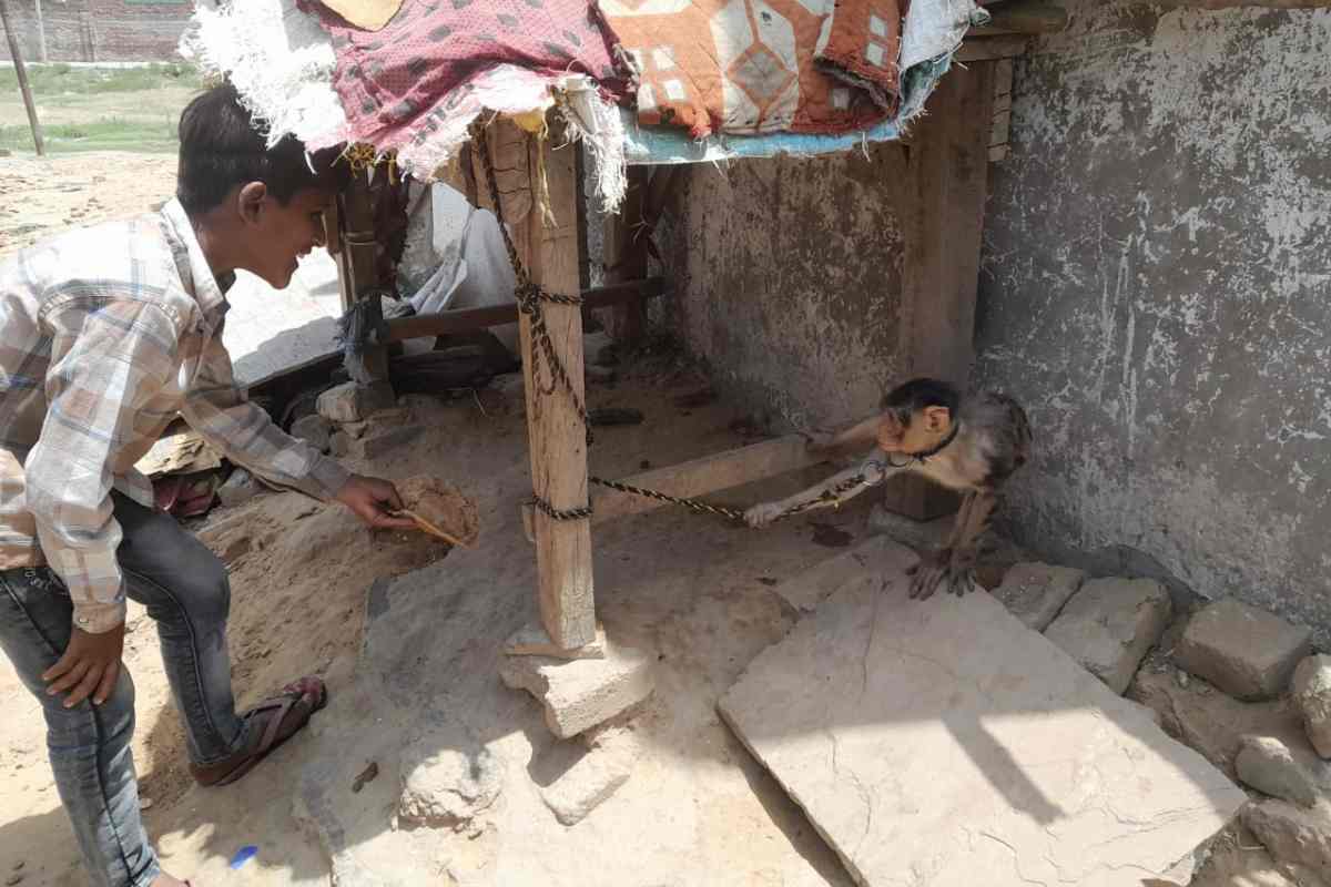 कलंदर समुदाय (The Kalandar community)