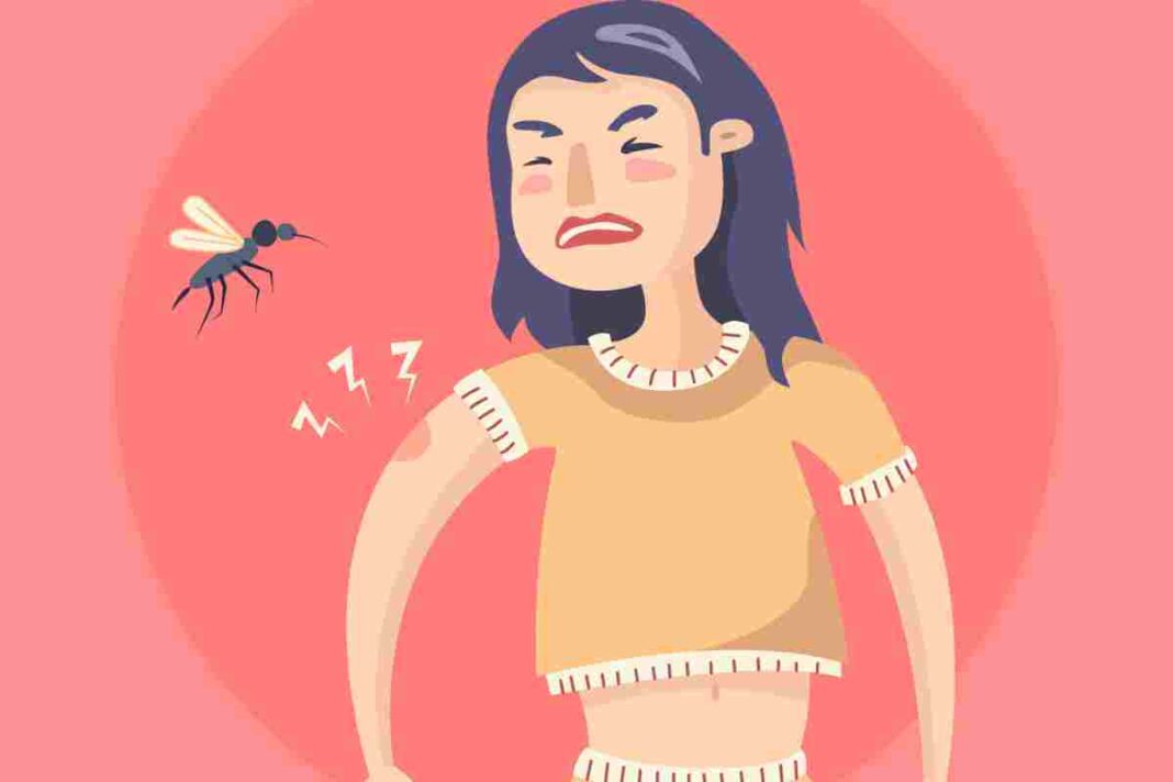 डेंगू, मलेरिया और चिकनगुनिया: मच्छर जनित बीमारियों के जोखिम का बढ़ता हुआ सामना”