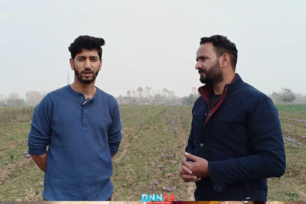 कश्मीरी केसर - आकिब बशीर