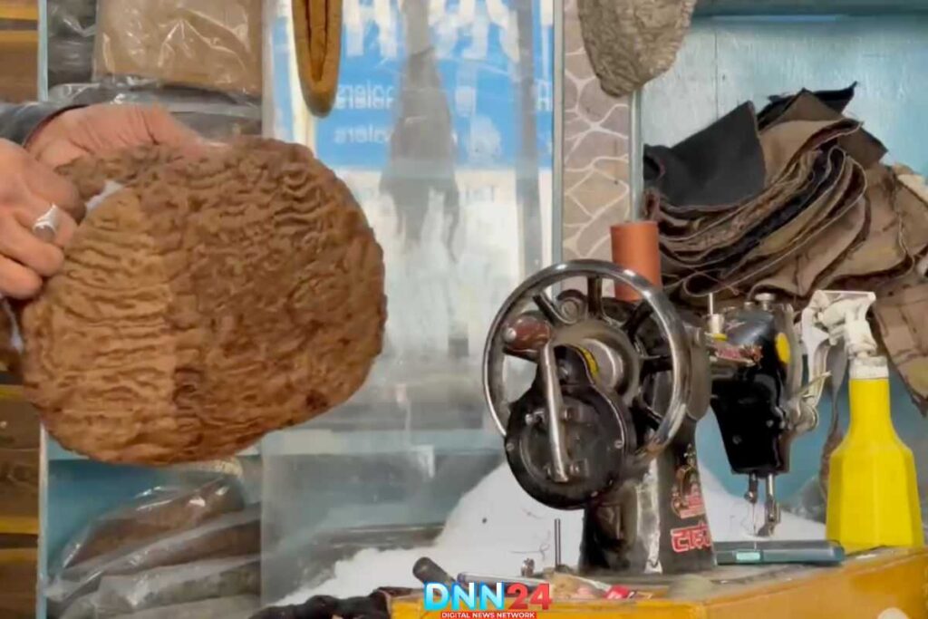 काराकुल टोपी