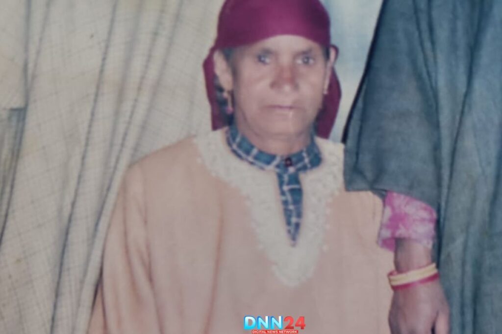 आमिर की दादी