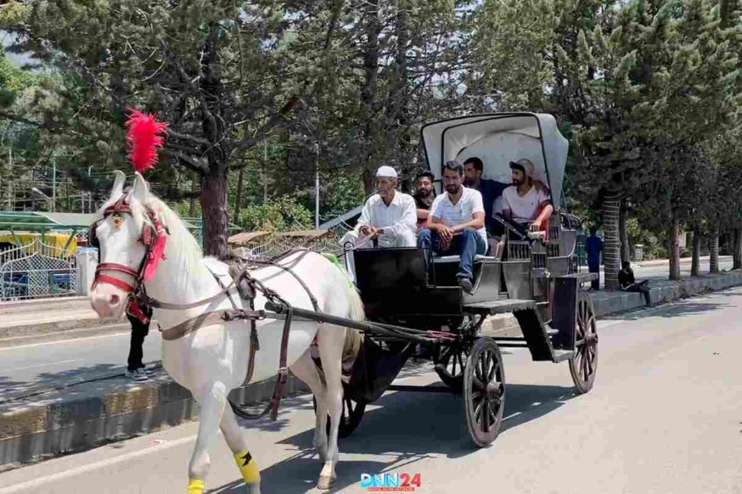 श्रीनगर में चार दोस्तों ने शुरू किया Royal Horse Cart