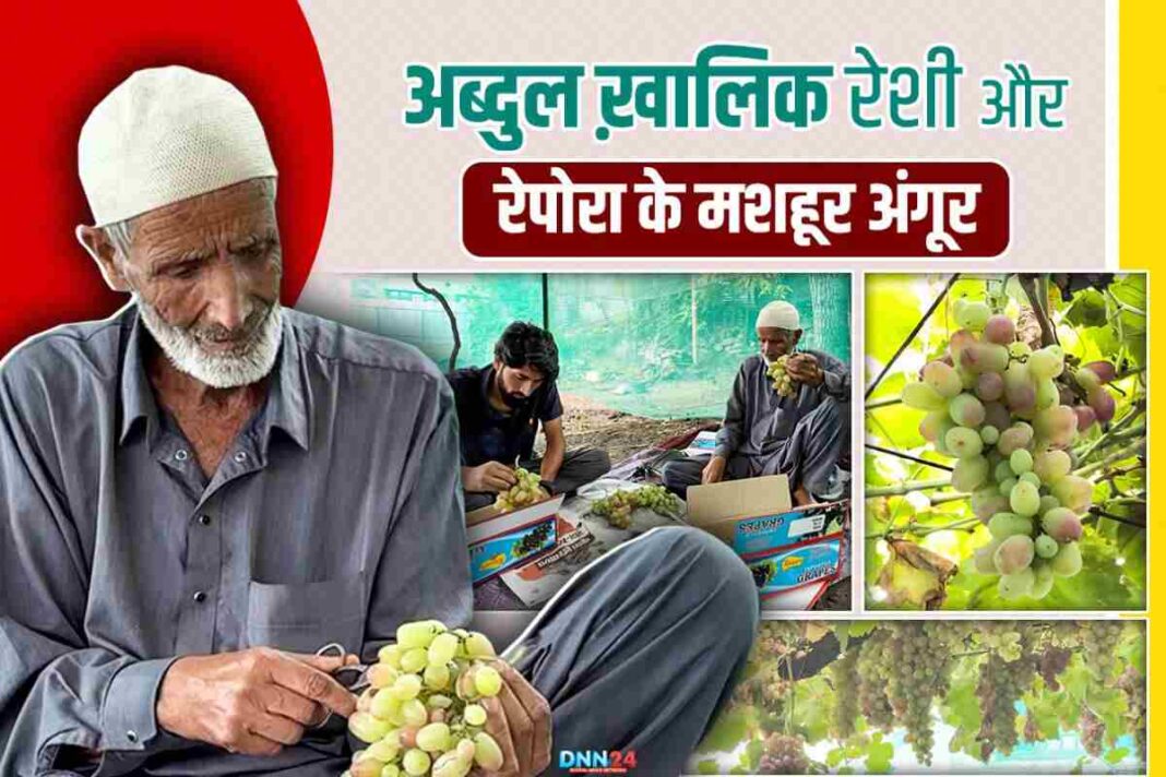 Abdul Khaliq Reshi: कश्मीर के रेपोरा गांव के अंगूरों की मिठास और मेहनत की कहानी