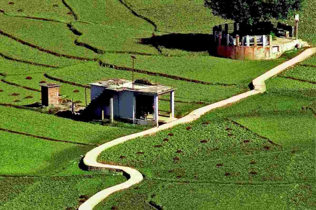 बागेश्वर का पीपल साहब