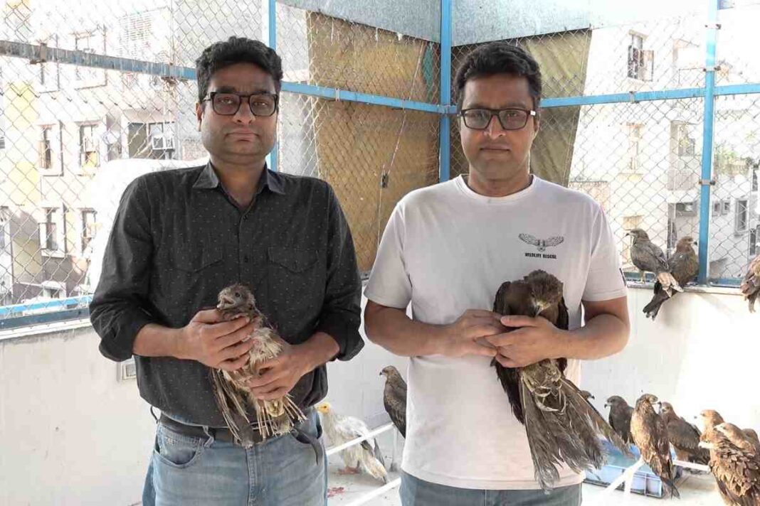 Wildlife Rescue: एक ज़ख्मी चील ने कैसे बदल दी नदीम और सऊद की ज़िंदगी?
