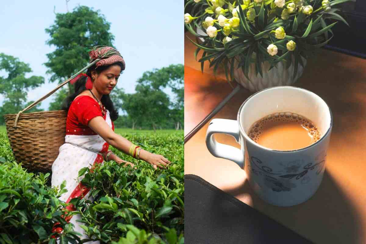 भारत की 'Tea City of India': जिसकी चाय की चुस्कियां पूरी दुनिया लेती है