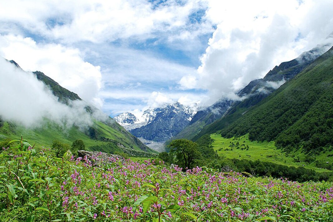 Valley of Flowers: उत्तराखंड की वो जन्नत जहां रंग आंखों से बात करते हैं